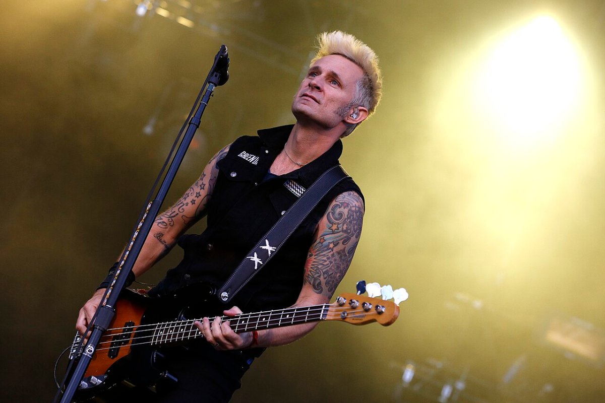 Mike Dirnt of Green Day in 2013